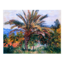 Claude Monet : Palmier chez Bordighera Carte Postale