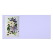 Clématite lilas photocartes personnalisées