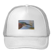 Cloué lui ! casquettes