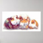 Cobayes mignons affiche