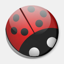 Coccinelle Aimant Pour Réfrigérateur