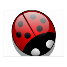 Coccinelle Carte Postale