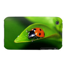 Coccinelle Coque iPhone 3 Case-Mate