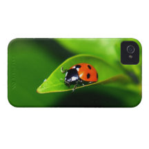 Coccinelle Coque iPhone 4 Case-Mate