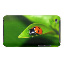 Coccinelle Coques iPod Case-Mate