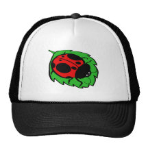 Coccinelle de sourire sur une feuille verte casquette