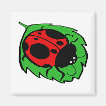 Coccinelle de sourire sur une feuille verte magnets pour réfrigérateur