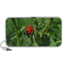 Coccinelle et aphis haut-parleurs PC