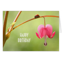 Coccinelle et fleur de défenseur de la veuve et de cartes