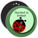 Coccinelle irlandaise pin's avec agrafe