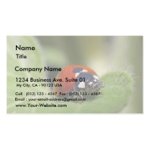 Coccinelle Modèle De Carte De Visite