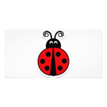 coccinelle photocarte customisée
