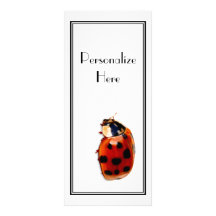 Coccinelle repérée chic avec le nom double carte en  couleur