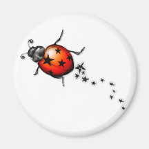 Coccinelle Rockstar Aimants