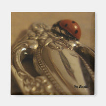 Coccinelle sur la cuillère aimant