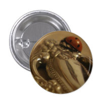 Coccinelle sur la cuillère pin's
