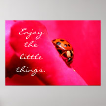 Coccinelle sur un rose posters