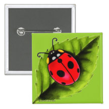 Coccinelle sur une feuille badges avec agrafe