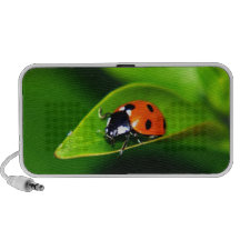 Coccinelle Système De Haut-parleurs