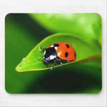Coccinelle Tapis De Souris