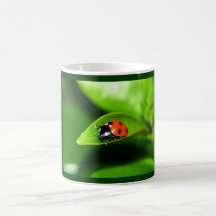 Coccinelle Tasse