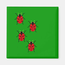 Coccinelles Aimants