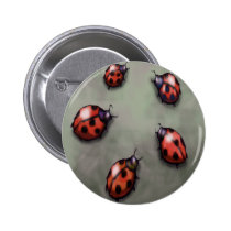 Coccinelles badges publicitaires