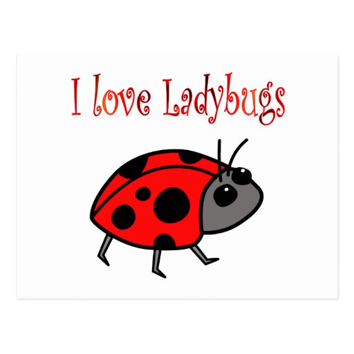 Coccinelles Carte Postale