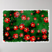 Coccinelles grunges poster