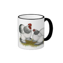Cochins :  Coqs nains colombiens Tasse
