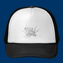 Cockaroach_0001 casquettes