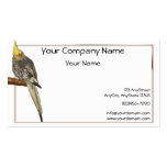 Cockatiel pie sur une branche avec l'arrière - pla carte de visite