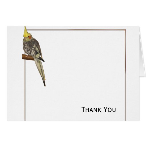 Cockatiel pie sur une branche avec le blanc carte de vœux