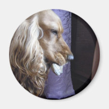 Cocker Aimant Pour Réfrigérateur