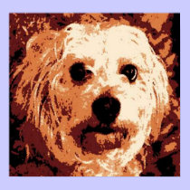 Cocos d'art de bruit posters