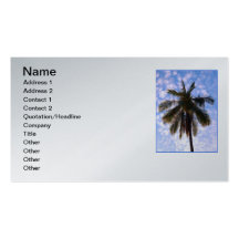 Cocotier Cartes De Visite Personnelles