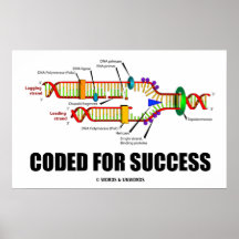 Codé pour le succès (reproduction d'ADN) Affiches