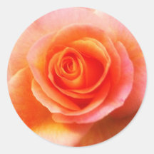 "Coeur autocollant de rose"