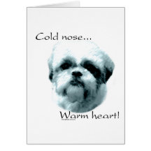 Coeur chaud de nez froid de Shih Tzu Carte De Vœux