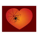 Coeur d'araignée carte postale