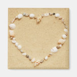 Coeur de coquillage magnets