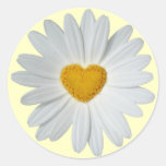 Coeur de marguerite adhésif