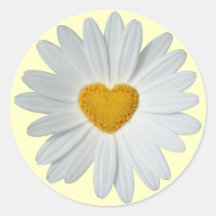 Coeur de marguerite adhésif