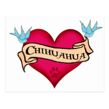 Coeur de tatouage de chiwawa cartes postales