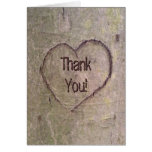 Coeur découpé dans l'arbre, nature romantique fait carte