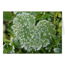 Coeur glacial vert carte
