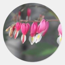 Coeurs accrochants adhésifs