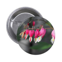 Coeurs accrochants badges