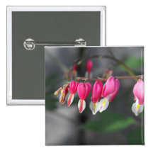 Coeurs accrochants badges avec agrafe