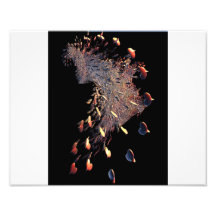 Coeurs brisés photos d’art